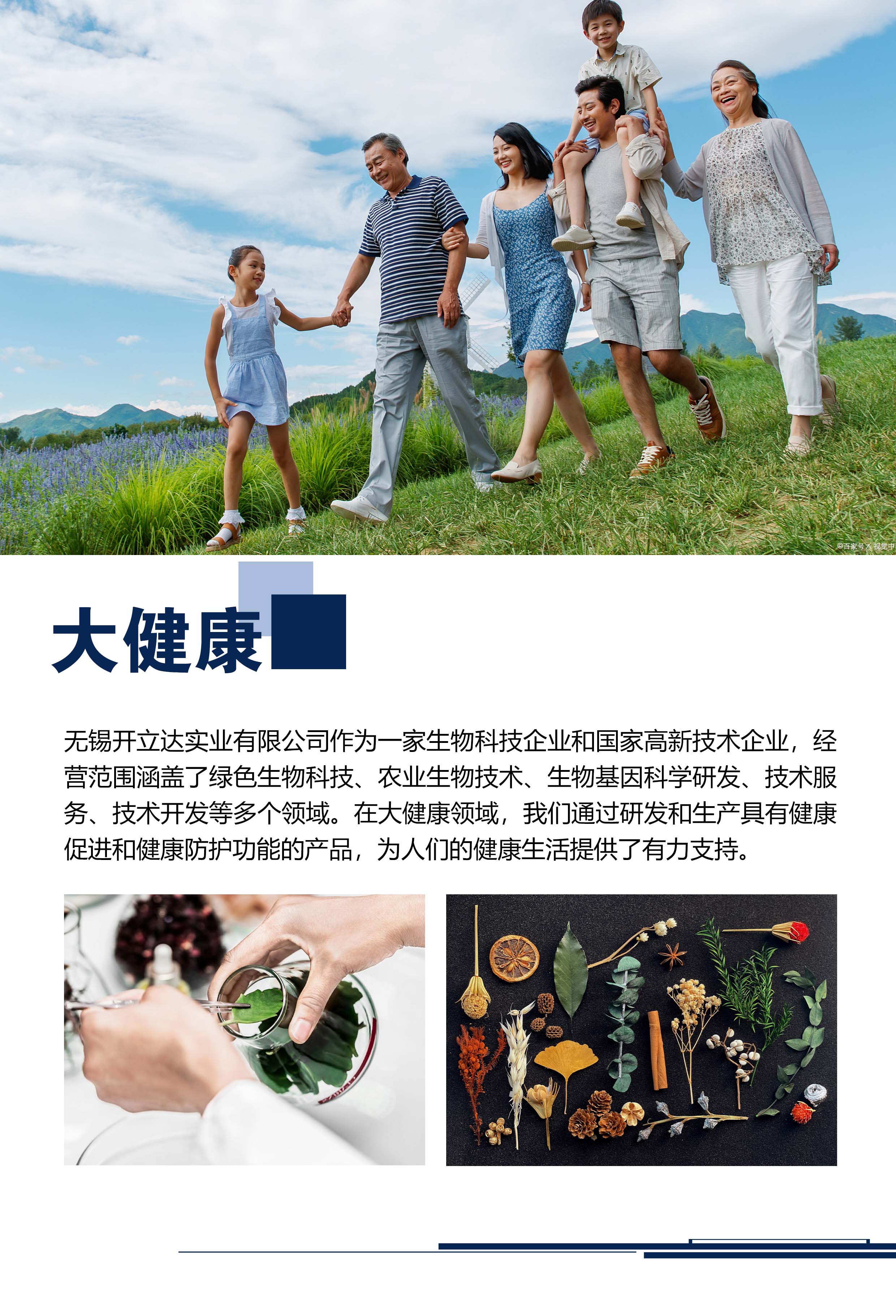 大健康